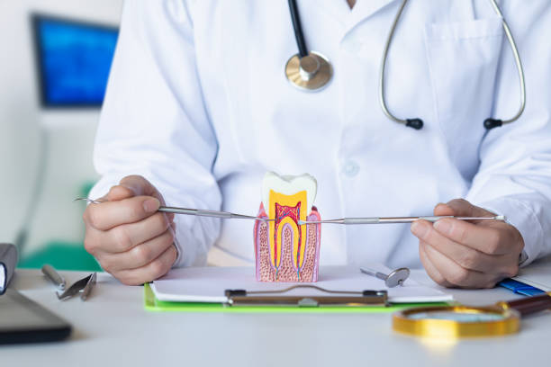 Best Weekend Emergency Dentist in Salem, IN